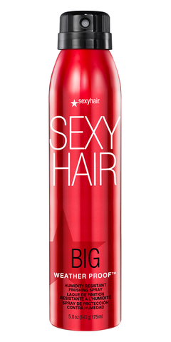 SEXY HAIR HEALTHY Smooth & Seal Anti-frizz Spray 6oz